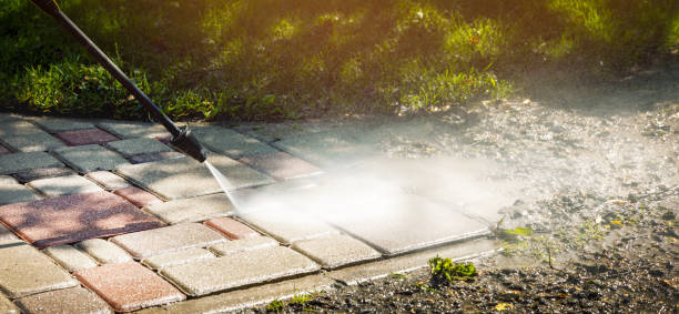 Best Animal Enclosure Cleaning  in Seaside, CA